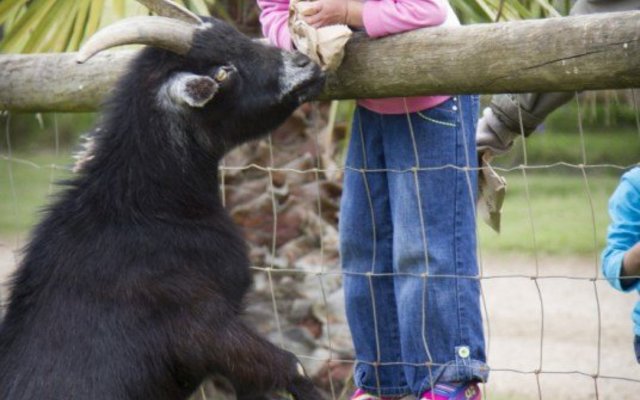 Fun Family Outing Fun Family Outing